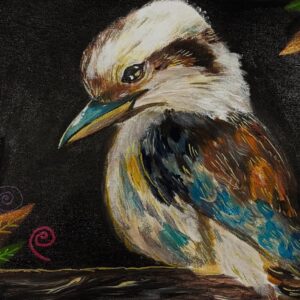 Little Miss Kookaburra