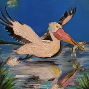 Where the Pelican Finds His Dinner